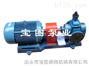 YCB-圆弧齿轮泵工作原理与状态--宝图泵业 _供
