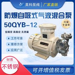 59QYB-12自吸防爆式气液混合泵