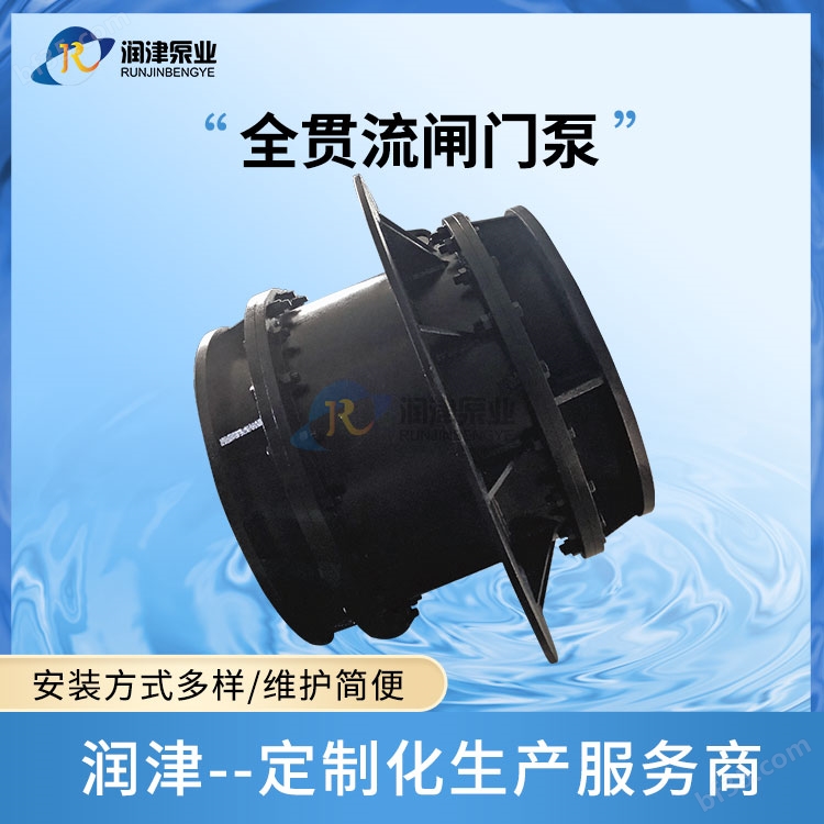闸门泵 一体化泵闸供应商 天津润津泵业
