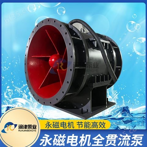 全贯流潜水泵 湿式贯流泵定制生产润津泵业