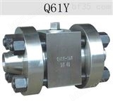 Q61Y上海冠龙高压对焊球阀