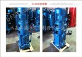 40DL6.2-11.2*2多级泵,DL立式多级泵,管道多级泵,立式管道多级泵