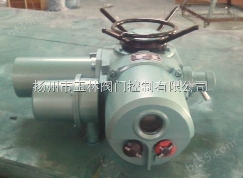 扬州厂家DZZ10、Z10-1W/Z整体型电动装置