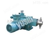 J-Z10/50J-Z型柱塞式计量泵/计量泵膜片/自动加药计量泵