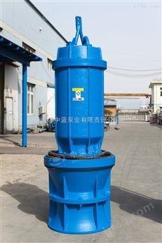 供应天津井筒式安装QZB轴流泵