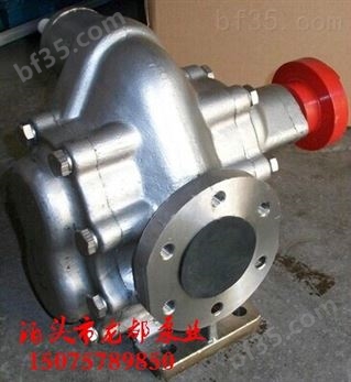 * 材质304-KCB-200型不锈钢齿轮泵