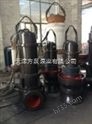 天津专业生产轴流泵