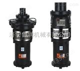 QY40-16-3*   QY40-16-3  潜水电泵