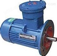 *DRB-P120Z电动润滑泵 防爆电机电动润滑泵